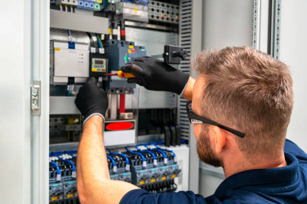 Best Electric Panel Repair  in Spring Grove, MN