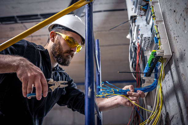 Best Local Electrician Companies  in Spring Grove, MN