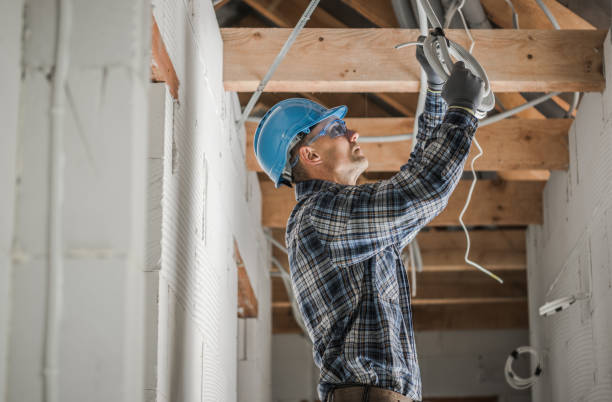 Best Industrial Electrical Services  in Spring Grove, MN