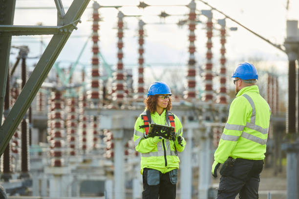 Best Electrical Upgrades for Homes  in Spring Grove, MN