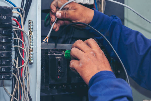 Best 24-Hour Electrician  in Spring Grove, MN
