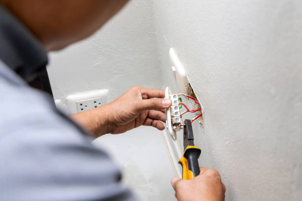 Best Electrical Repair Services  in Spring Grove, MN